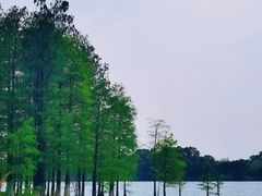 -松山湖风景区松湖烟雨