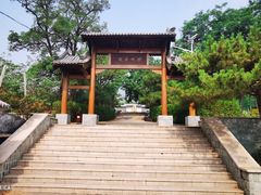 -阳台山自然风景区