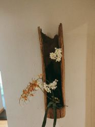 -香秀空间科技抗衰·美容中心