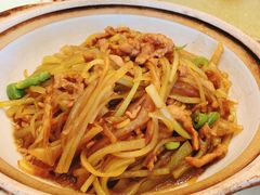 -丁老爷子苏香圆