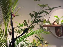 -沐森 •疗愈头疗馆(打浦桥店)