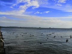 -黄金海岸环岛路