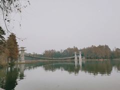 -东湖落雁景区