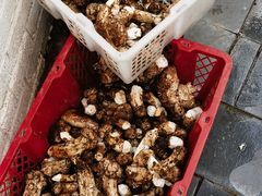 -蘑统田下·野生菌火锅