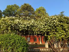 -四川大学(望江校区)