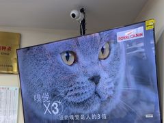 -全心全意连锁动物医院·微创中心·内科急重症·心脏专科(丰管路店)