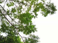 -南宁南湖公园