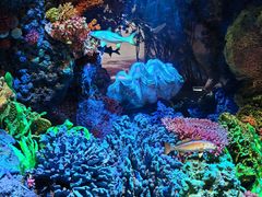 -中国湿地博物馆