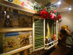 -济州岛泰迪熊博物馆