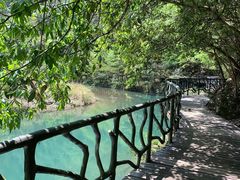 -龙湾潭国家森林公园