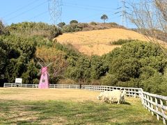 -杭州屏风山越野车营地·团建别墅轰趴民宿