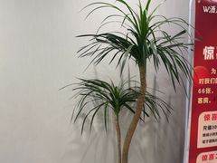 -W·24H茶楼·棋牌·掼蛋(望京店)