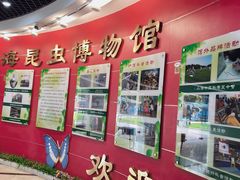 -上海昆虫博物馆