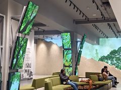 -极简口腔(总院)