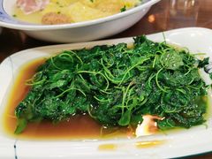 -长兴菜馆(高桥店)