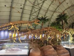 -辽宁古生物博物馆