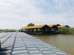 -宁波杭州湾国家湿地公园