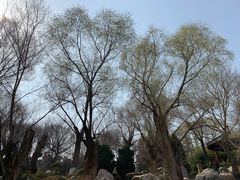 -中国唐苑