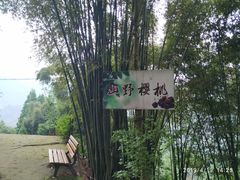 -樱桃山旅游景区