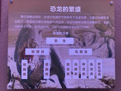 -陕西自然博物馆