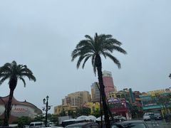 -美国村