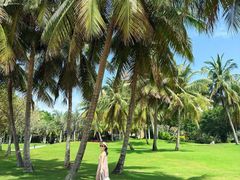 -海南清水湾莱佛士酒店