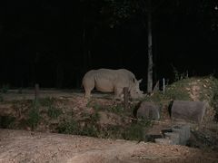 -清迈夜间动物园