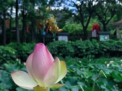 -广州莲花山旅游区