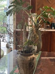 -娇玫荟SPA