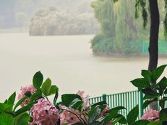 -黄兴公园