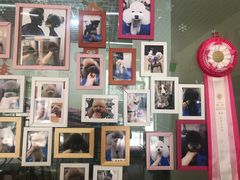 -沐沐家宠物(成寿寺店)