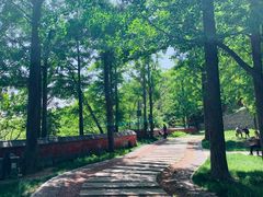 -阳台山自然风景区