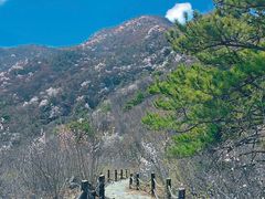 -阳台山自然风景区