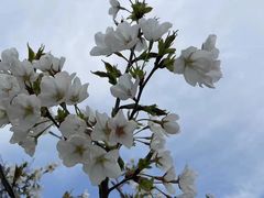 -东钱湖旅游度假区