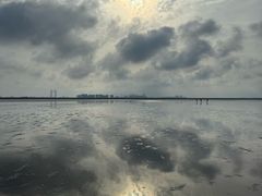 -南汇嘴观海公园