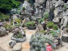 -山菌美食苑(振兴路店)