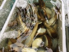 -盒马鲜生(宝地店)