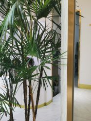 -发饰美男士增发补发假发定制店