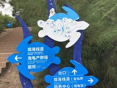 -广东惠东海龟国家级自然保护区