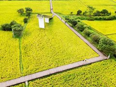 -风云岭森林公园