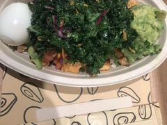 -油梨树 AVOCADO TREE(亮马桥店)