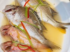 -金成潮菜博物馆(海珠湿地店)