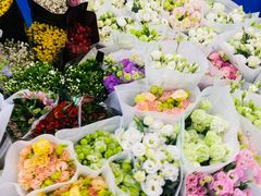 -双季花艺园艺市场(浦东店)
