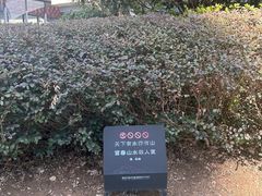 -桐庐规划馆