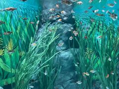 -上海海洋水族馆