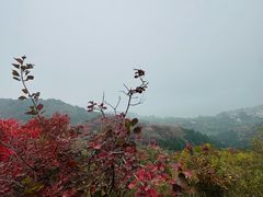 -十三陵水库