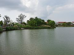 -上海长兴岛郊野公园