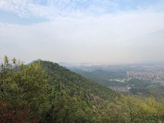 -杭州半山国家森林公园