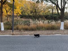 -南京市江宁方山