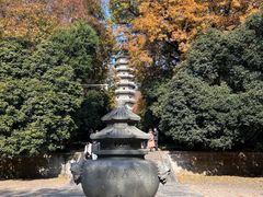 -灵谷景区